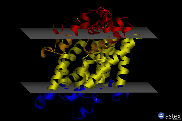 Membrane view of 5lm4