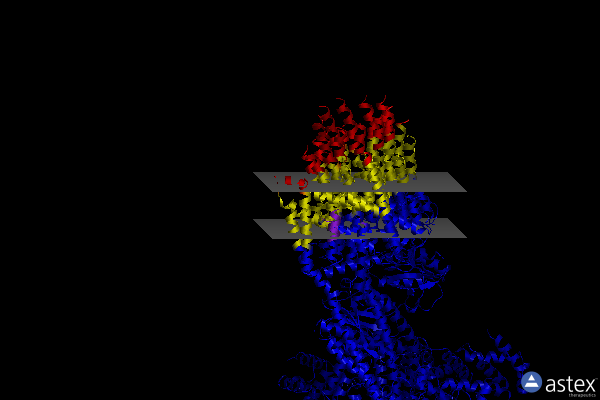 Membrane view of 5lqy