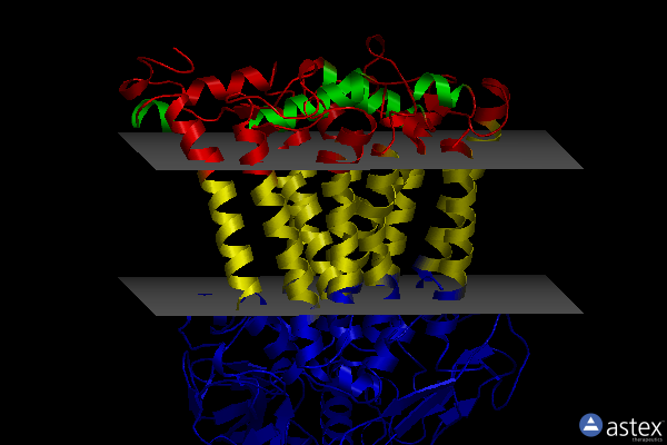 Membrane view of 5lri