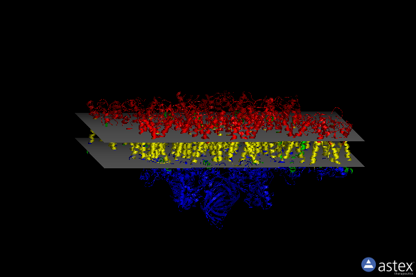 Membrane view of 5mdx
