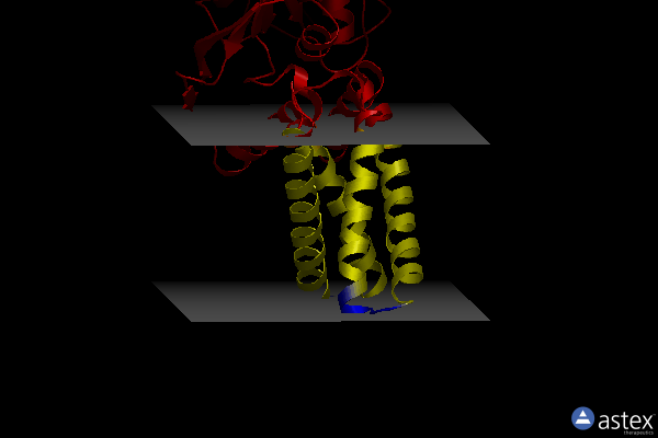 Membrane view of 5mm1