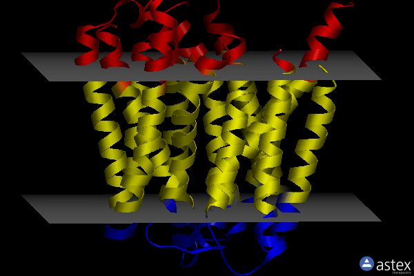 Membrane view of 5mmt