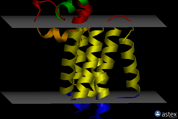 Membrane view of 5mt6