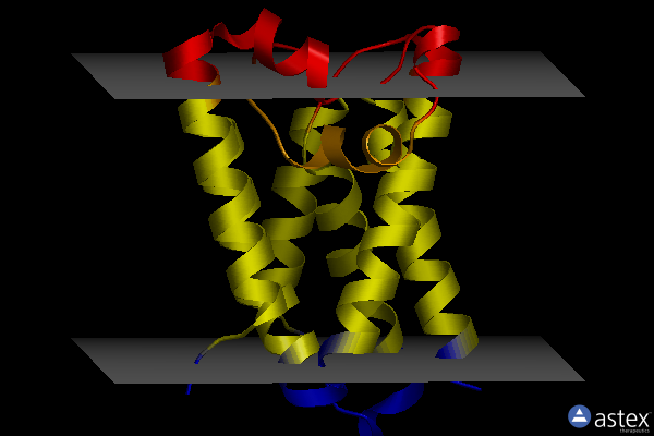 Membrane view of 5mt7