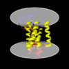 5mt8