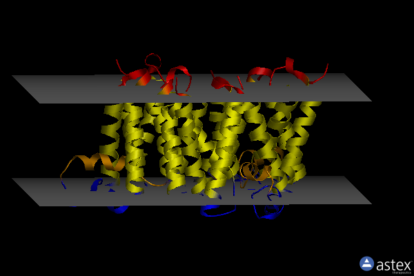 Membrane view of 5mtf