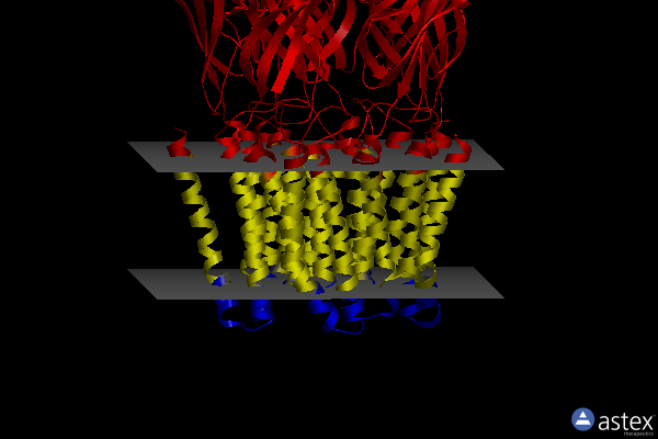 Membrane view of 5muo