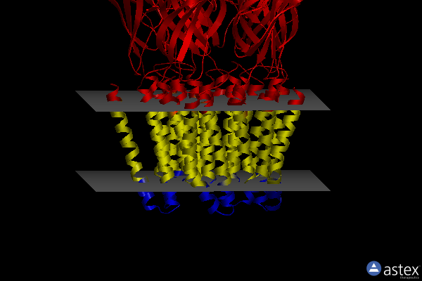 Membrane view of 5mur