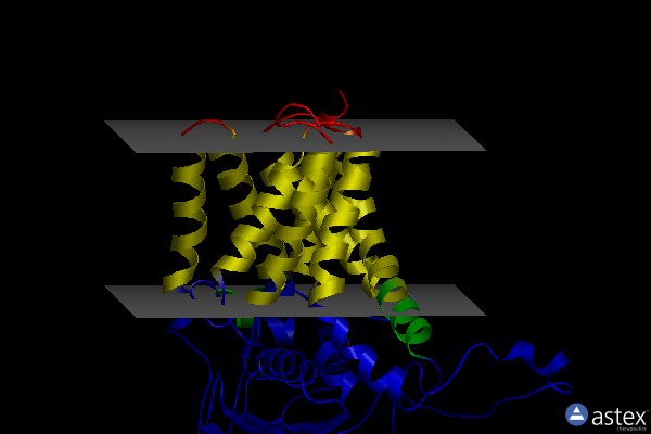 Membrane view of 5n6l