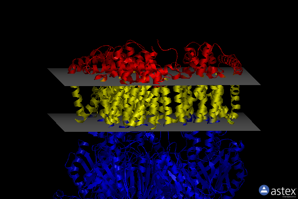 Membrane view of 5nc5