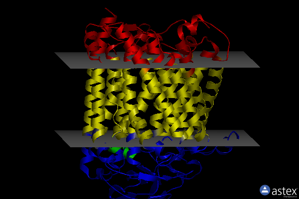 Membrane view of 5ndc