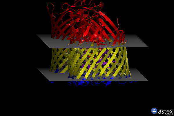 Membrane view of 5nec