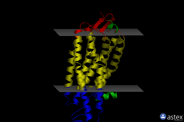 Membrane view of 5nj6