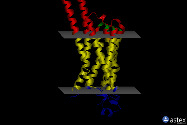 Membrane view of 5nlx