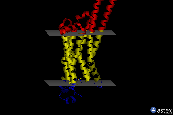 Membrane view of 5nm2