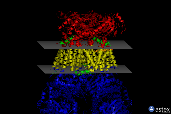 Membrane view of 5nmi
