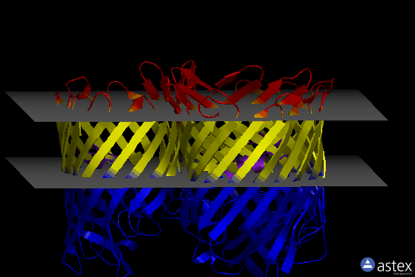 Membrane view of 5nuo