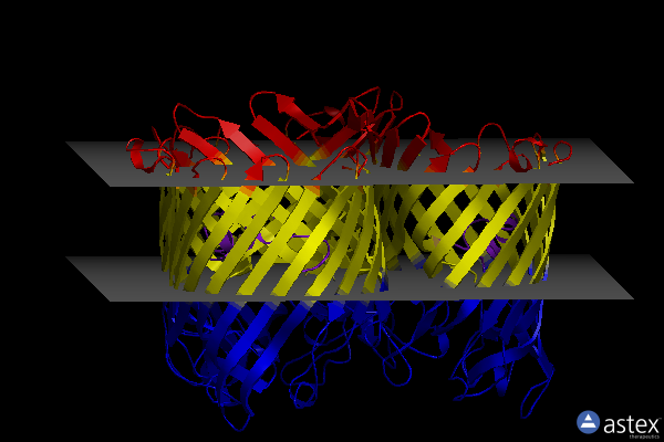 Membrane view of 5nup