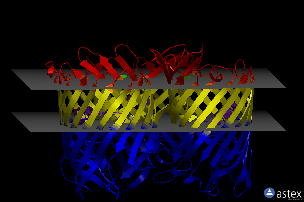 Membrane view of 5nur