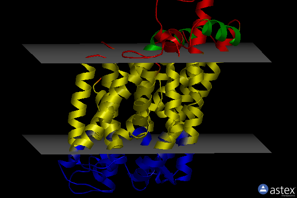 Membrane view of 5nva