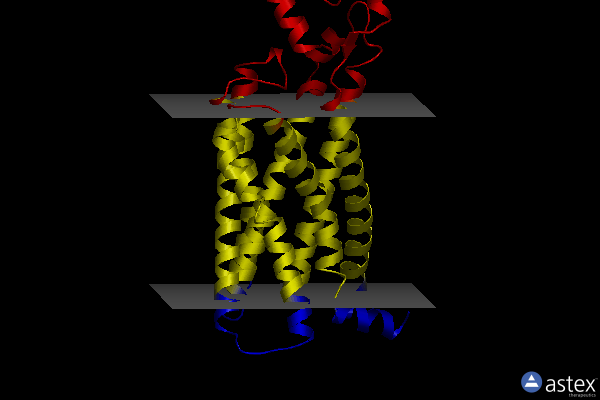 Membrane view of 5nx2