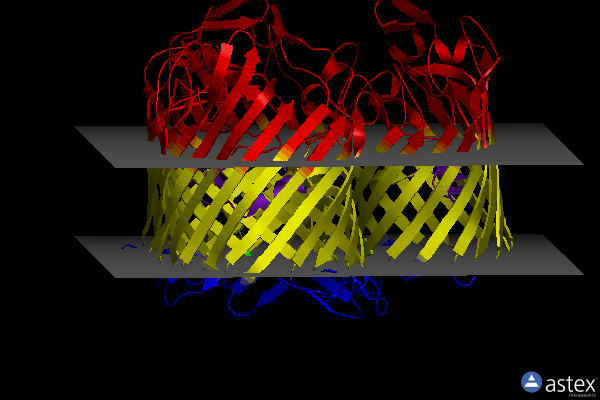 Membrane view of 5nxr