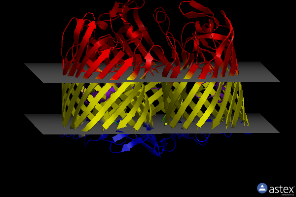 Membrane view of 5nxu