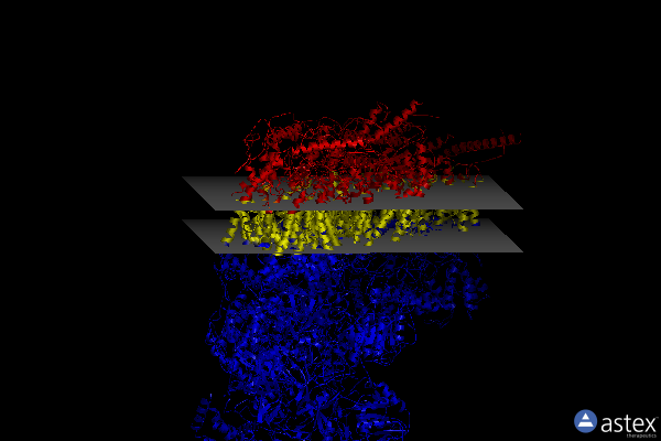 Membrane view of 5o31