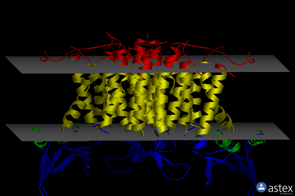 Membrane view of 5o5e