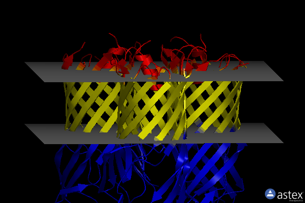 Membrane view of 5o65