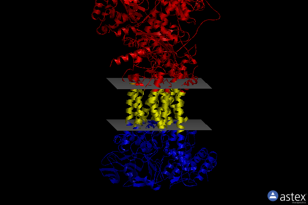 Membrane view of 5okd