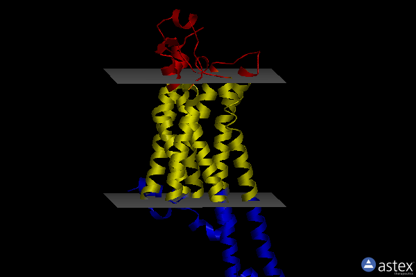 Membrane view of 5olv