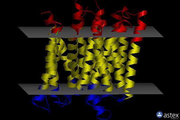 Membrane view of 5oxk