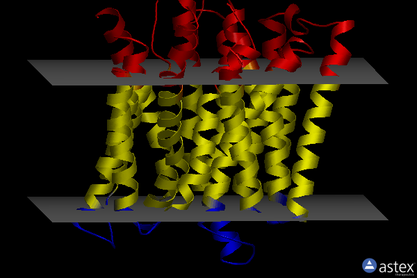Membrane view of 5oxl