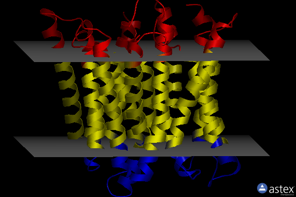 Membrane view of 5oxo