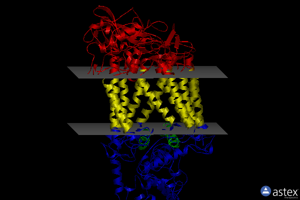 Membrane view of 5prc