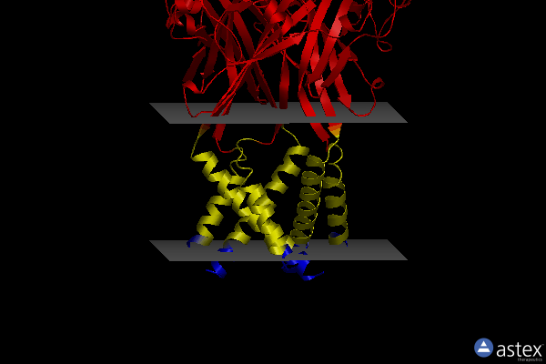 Membrane view of 5svp