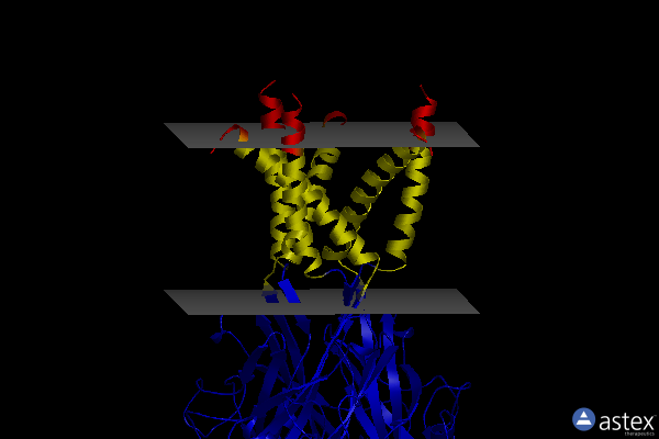 Membrane view of 5svr