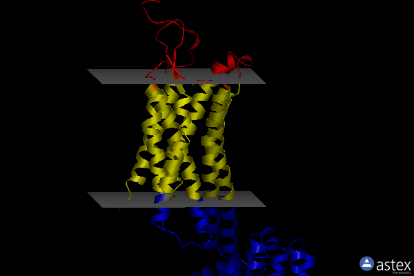 Membrane view of 5t04