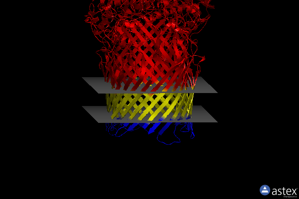 Membrane view of 5t4y