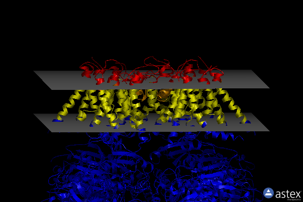 Membrane view of 5tj6