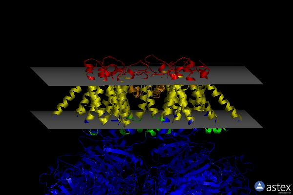 Membrane view of 5tji