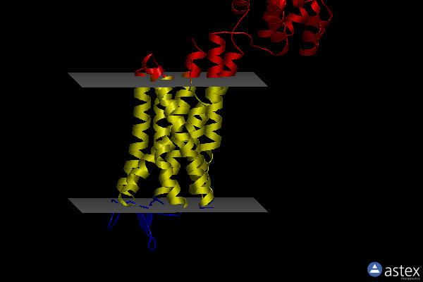 Membrane view of 5tzr
