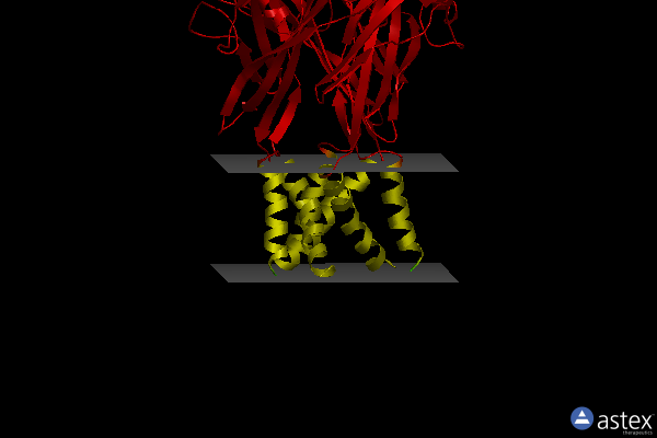 Membrane view of 5u1w
