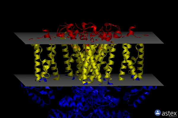 Membrane view of 5u6p