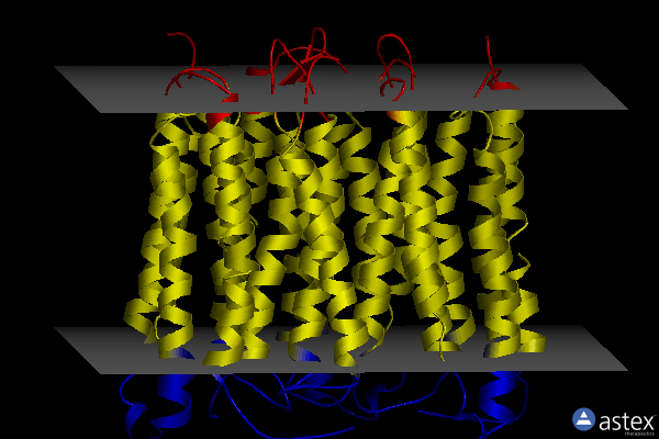Membrane view of 5uk6