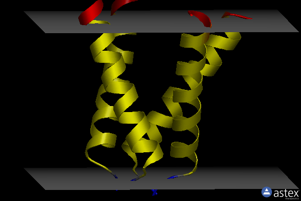 Membrane view of 5um1
