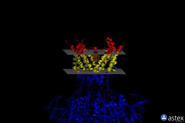 Membrane view of 5up2