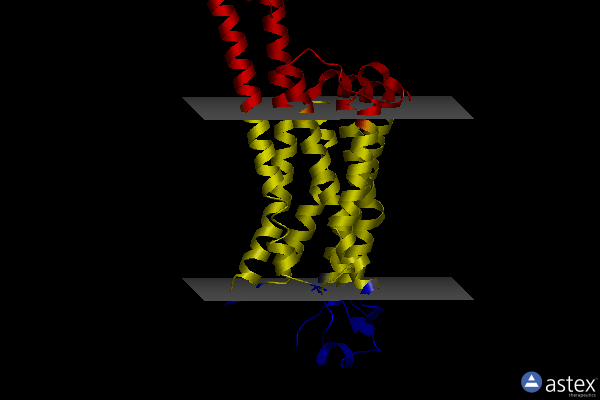 Membrane view of 5uvi