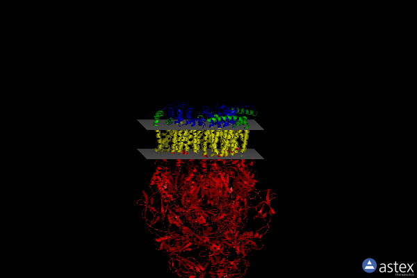 Membrane view of 5v5s